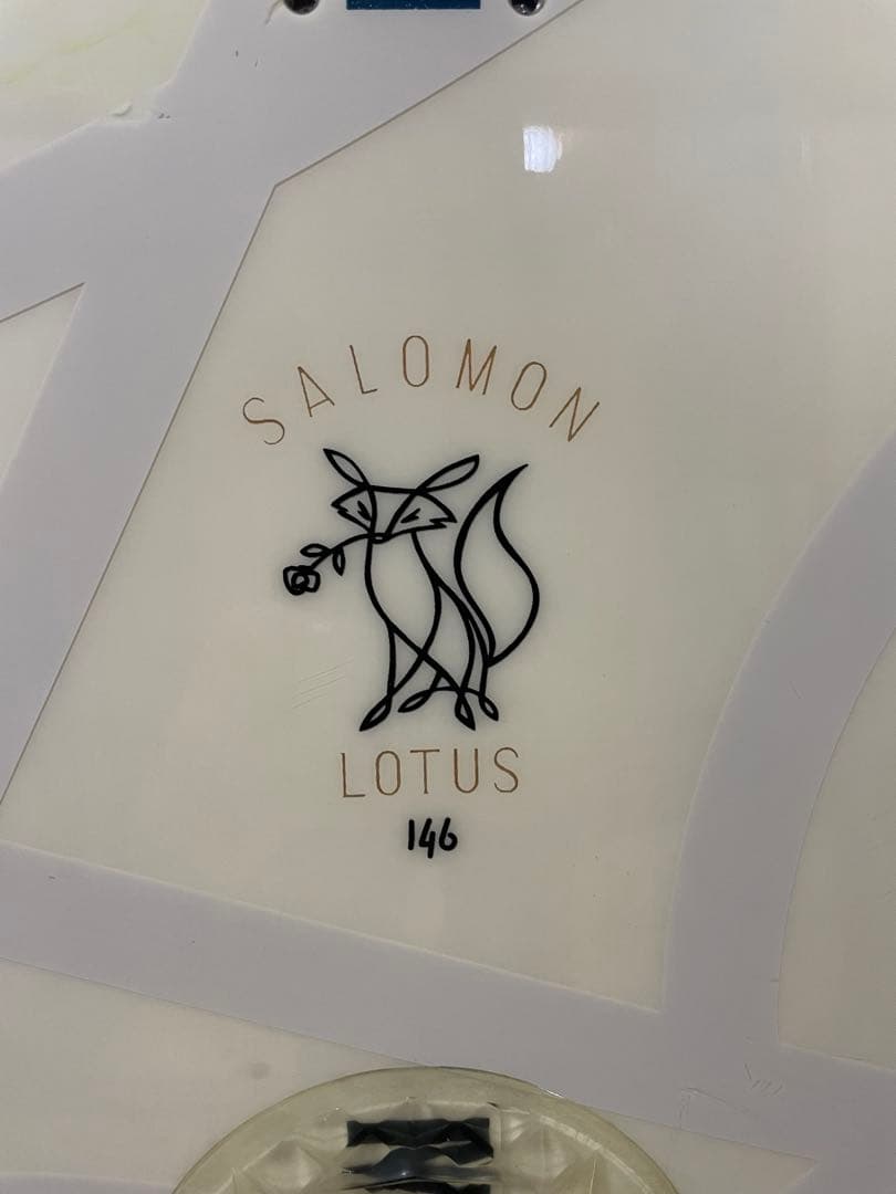 SALOMON スノーボード146cm＋ビンディングS