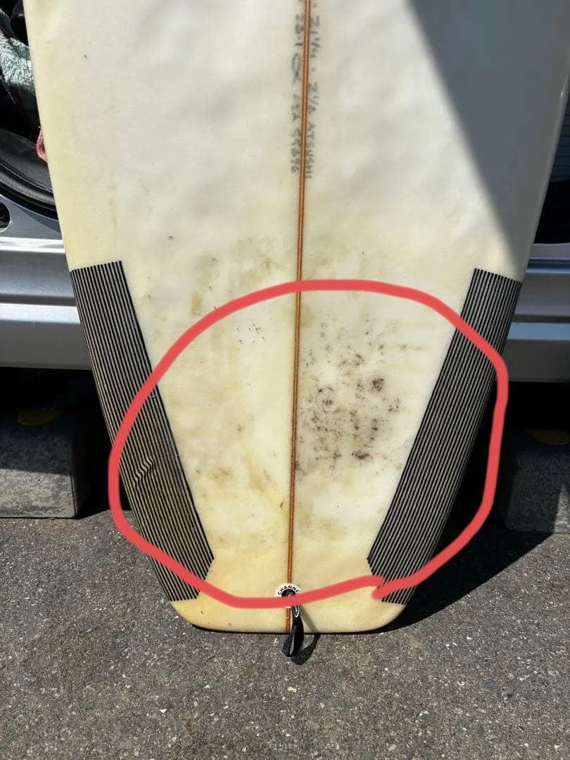 アルメリック チャンネルアイランド　スパムホエール spam whale