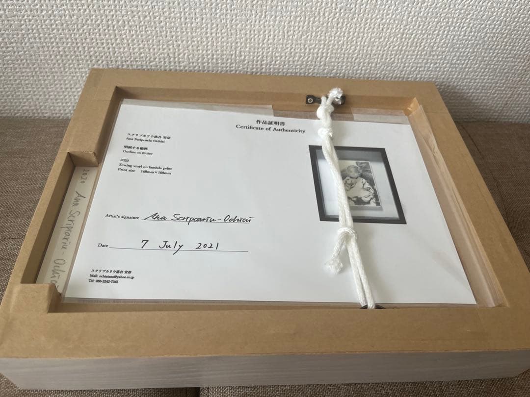 スクリプカリウ落合安奈 作品 （検 村上隆 草間彌生 南谷理加 ロッカクアヤコ