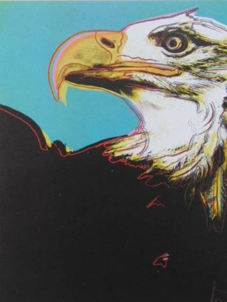 WARHOL、BALD EAGLE、希少画集画、新品高級額、額装付