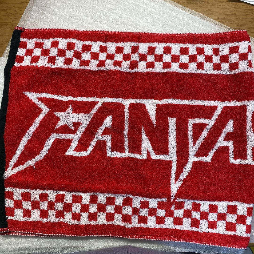 FANTASTICS 夢者修行 タオル フライヤー