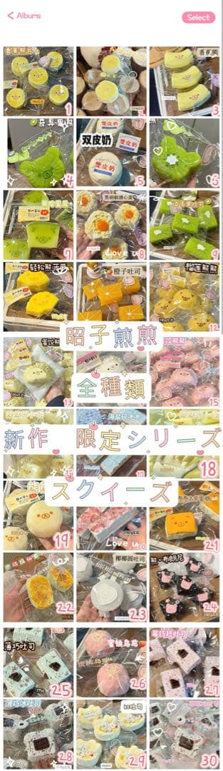 昭子煎煎　スクイーズ　新作