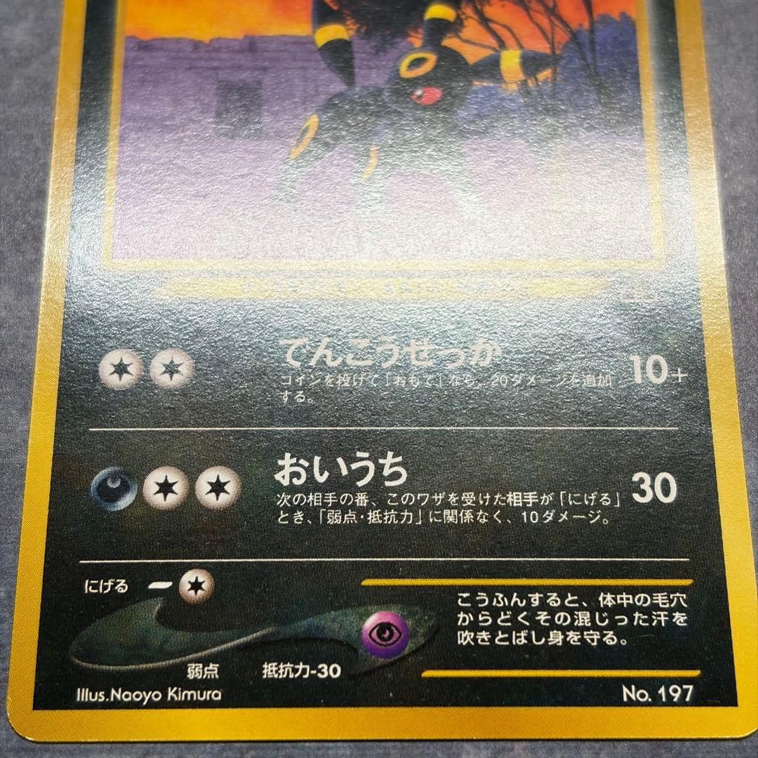 【美品】ブラッキー プレミアムファイル2 PROMO 第2世代　旧裏