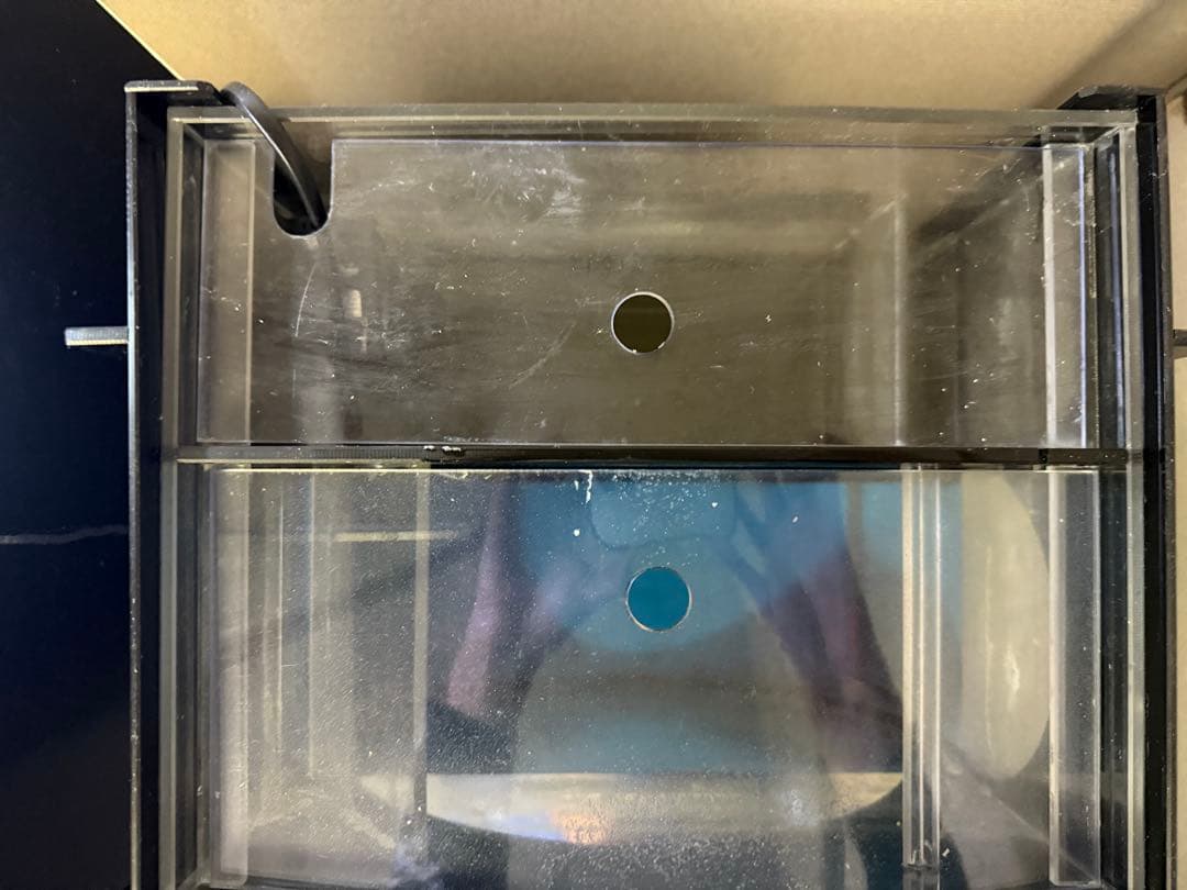 クラゲ水槽　海月水景　persona plax 円形水槽