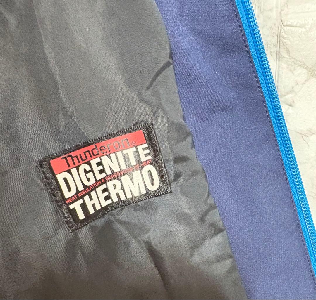 ♦︎良品♦︎フェニックスphenixスキーウェア　スノボウェア　メンズ　L