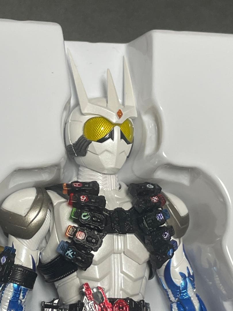 S.H.Figuarts(真骨彫製法) 仮面ライダーエターナル