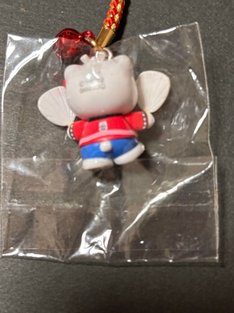 レア❣️未使用未開封❗️ご当地キティ東京 慶應義塾大学 三田祭限定2012