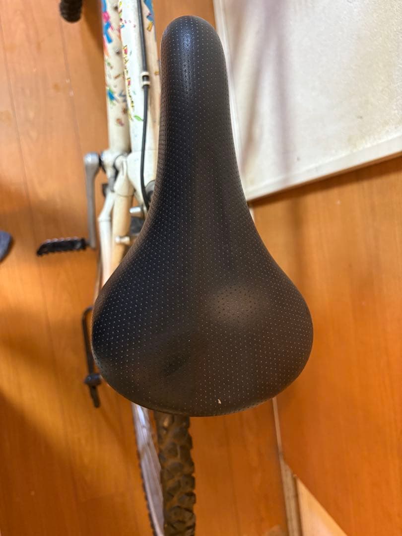 【限定カラー】MIYATA RidgeRunner Doovag