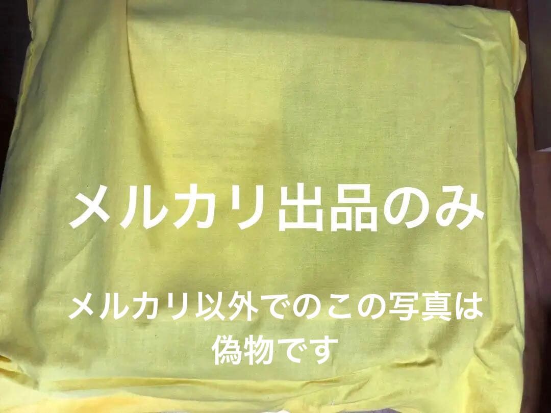 佐藤昭三　真筆画　瑞峰　日本画　未使用　出品撮影まで発送用箱も未開封(購入元記載