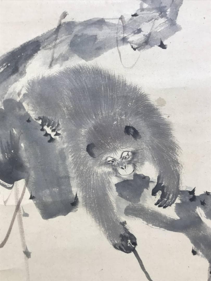 森寛斎/猿に蜂図/花鳥図/掛軸/名家伝来/AD-190