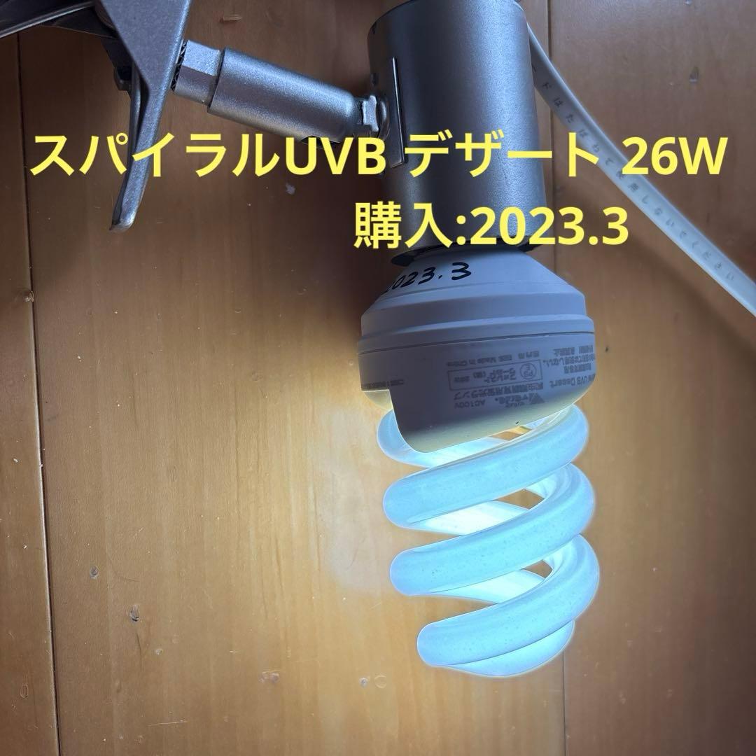 【爬虫類愛好者、初心者必見！】ソケットとライトのセット　値引き交渉可