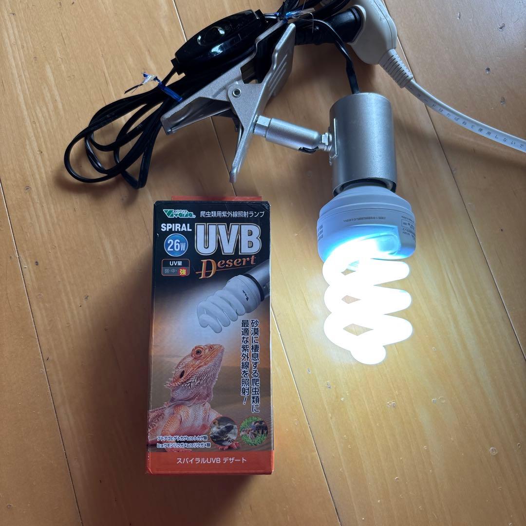 【爬虫類愛好者、初心者必見！】ソケットとライトのセット　値引き交渉可