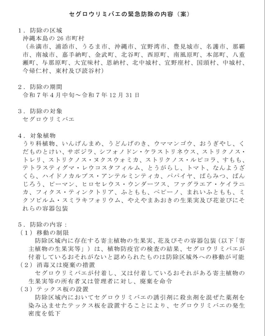 宮古島産 朝採れゴーヤー 8kg