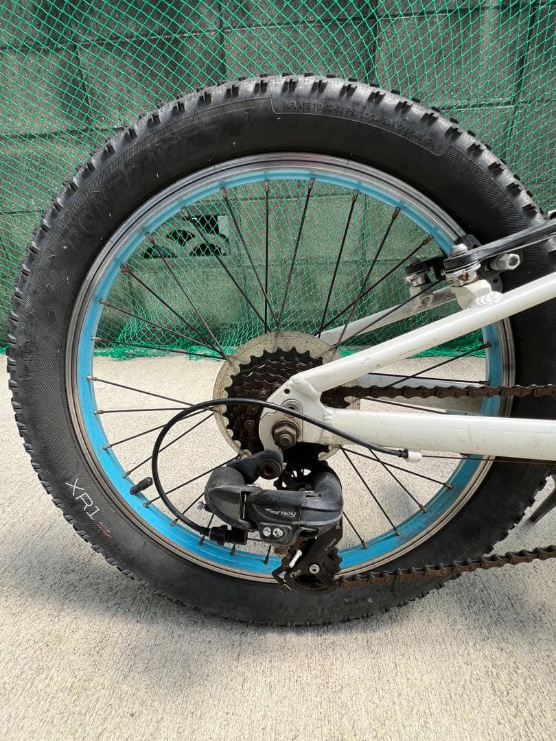 子供用自転車TREKPrecaliber20インチホワイト身長114-132cm