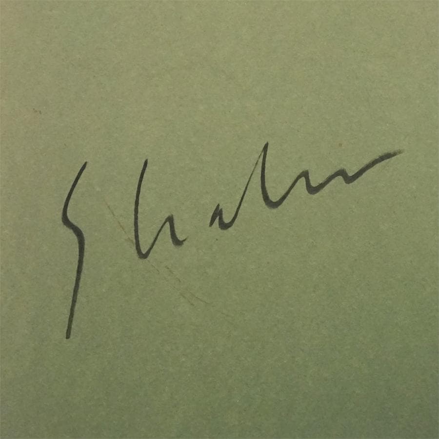 作者不詳 肉筆水彩画 裏書きサイン有 絵画 女性像 美術 美術品