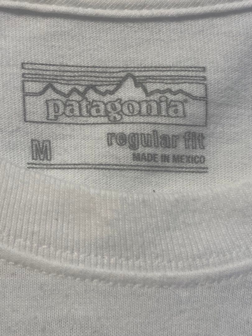 入手困難【Patagonia】World Trout Slurp Tee