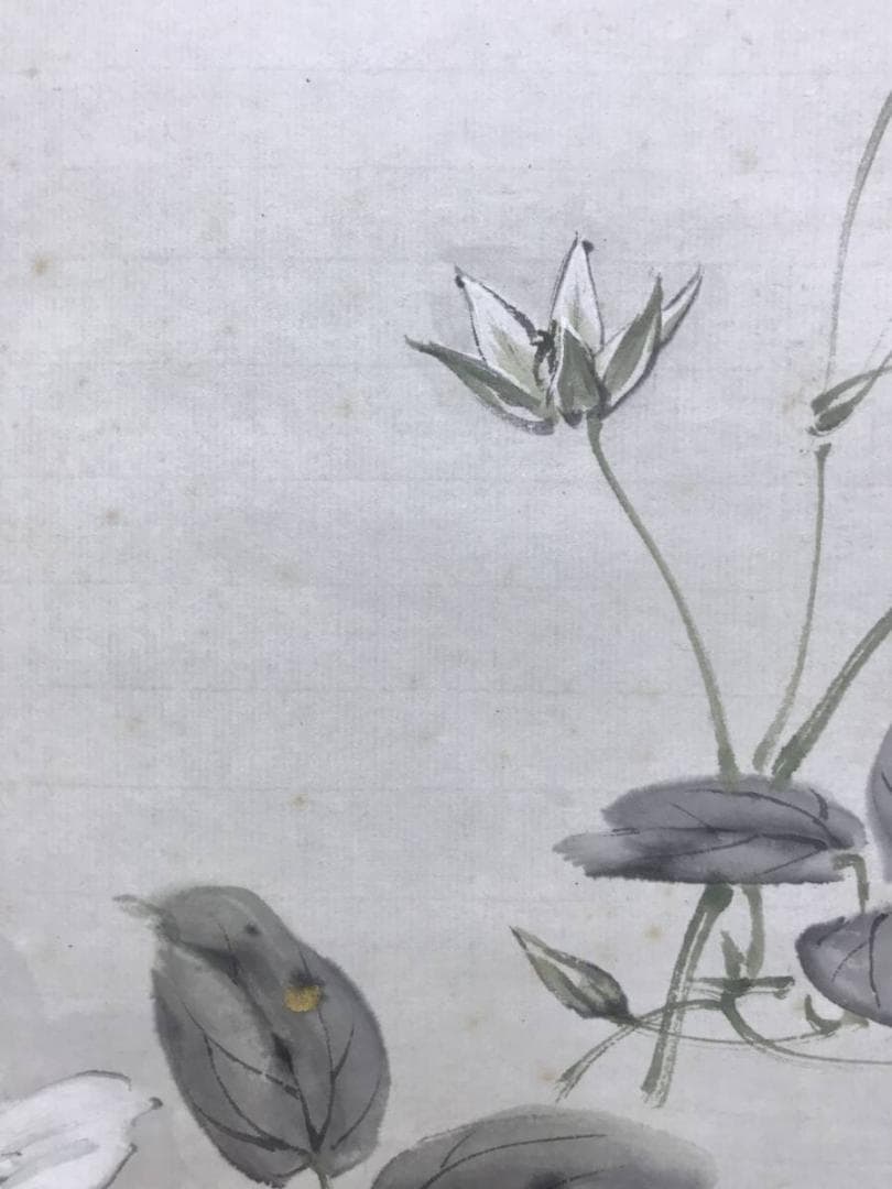 真作/佐藤古岫/鉄綿花図/花図/てっせん/鉄線/鉄仙/掛軸/名家伝来AE-379