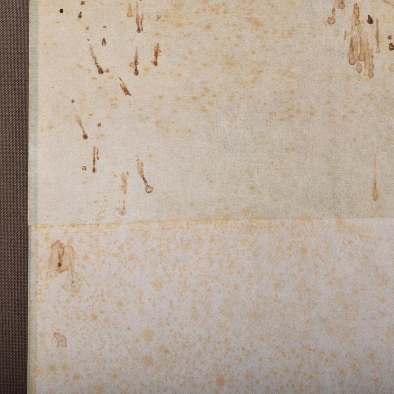 掛軸　大徳寺大仙院　尾関（桃林）宗園筆　延命十句観音経　画賛　N　7358