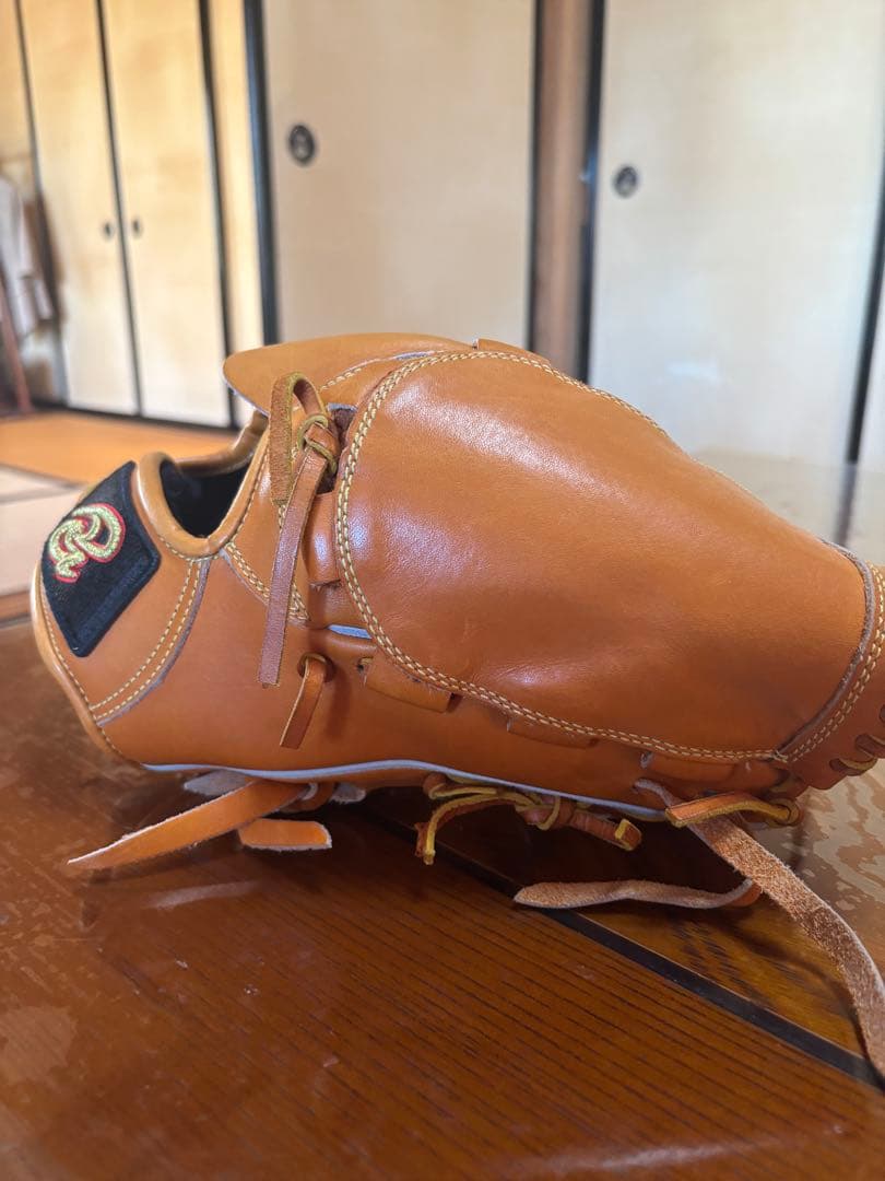 ドナイヤ　投手用グローブ