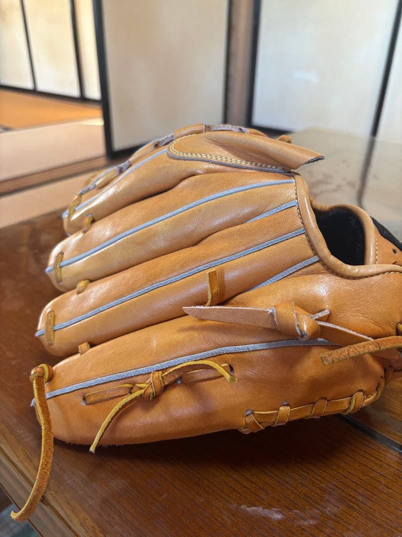 ドナイヤ　投手用グローブ