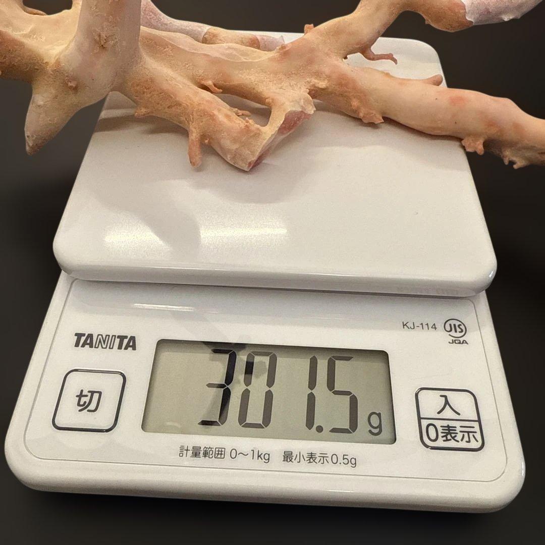 珊瑚　原木　桃色　コーラルピンク系