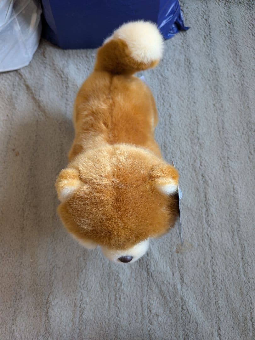 『櫻坂』しかくに