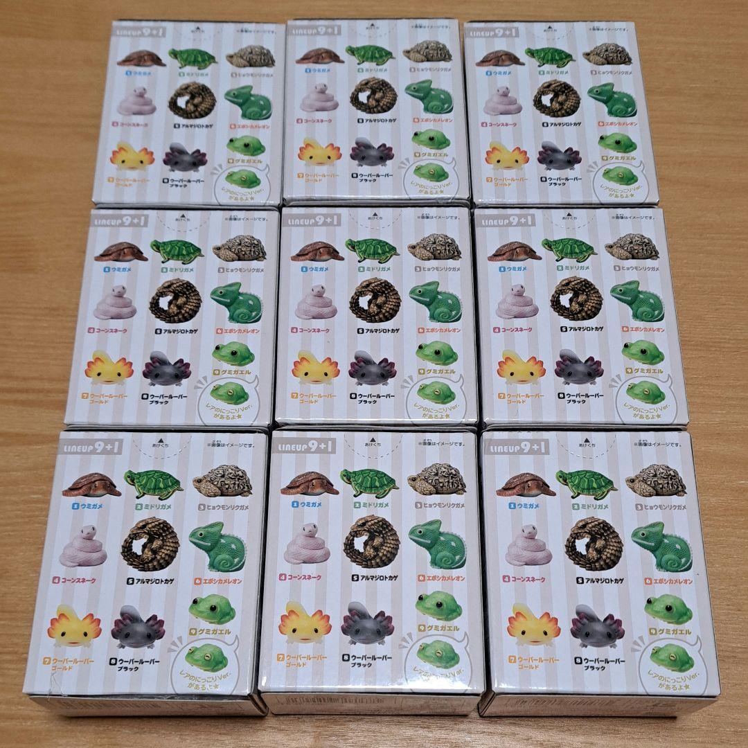 てのリフレンズ11 ヒョウモンリクガメ 9個セット