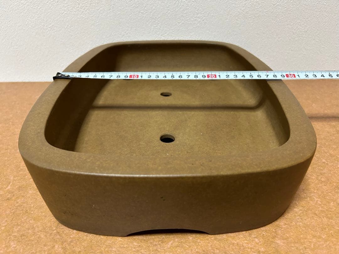 萬留平　盆栽鉢　山野草