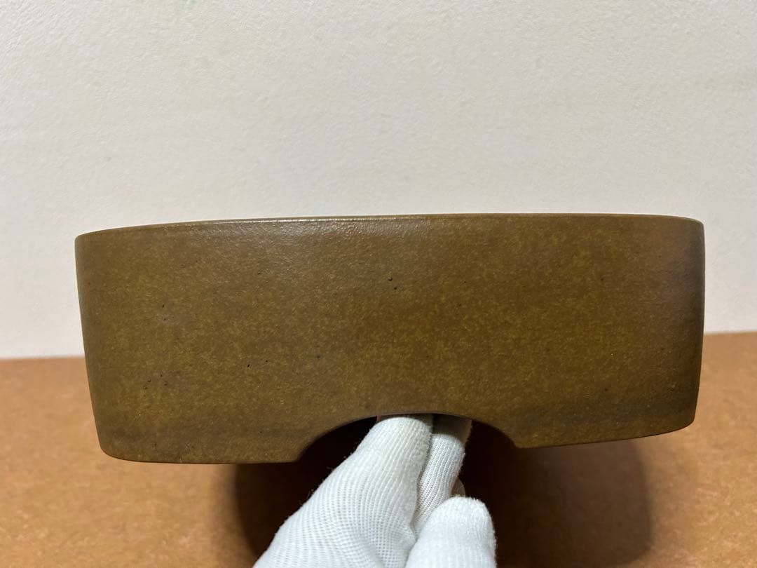 萬留平　盆栽鉢　山野草