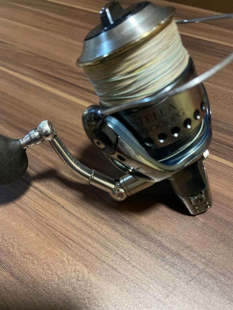 リール STELLA SW 8000PG