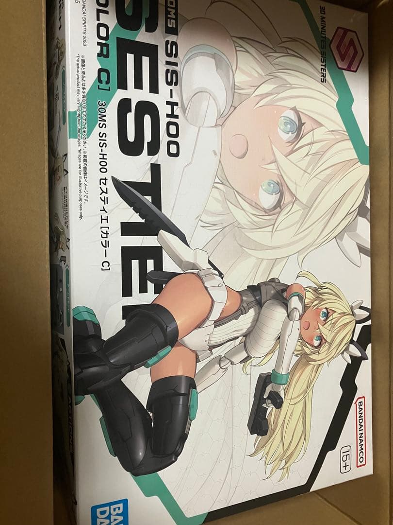 30MS セスティエ　カラーC