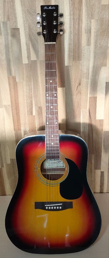 promartin w-180-ts アコースティックギター