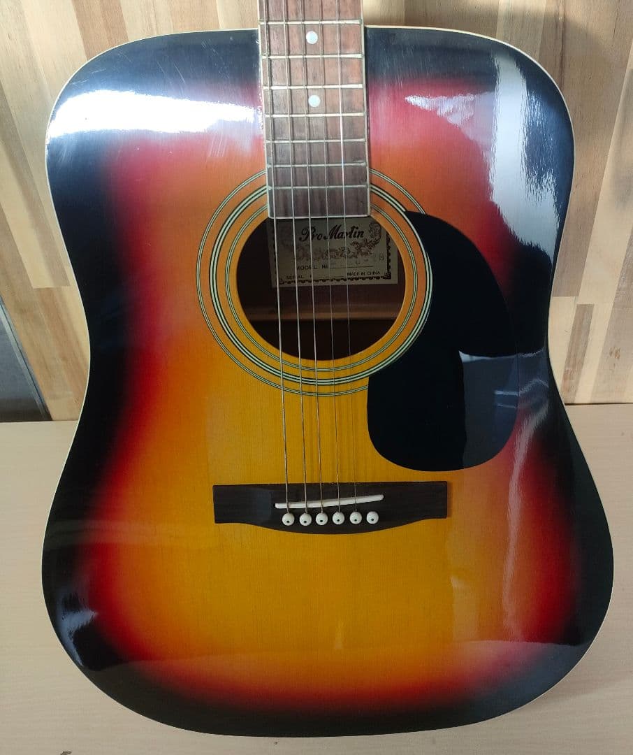 promartin w-180-ts アコースティックギター