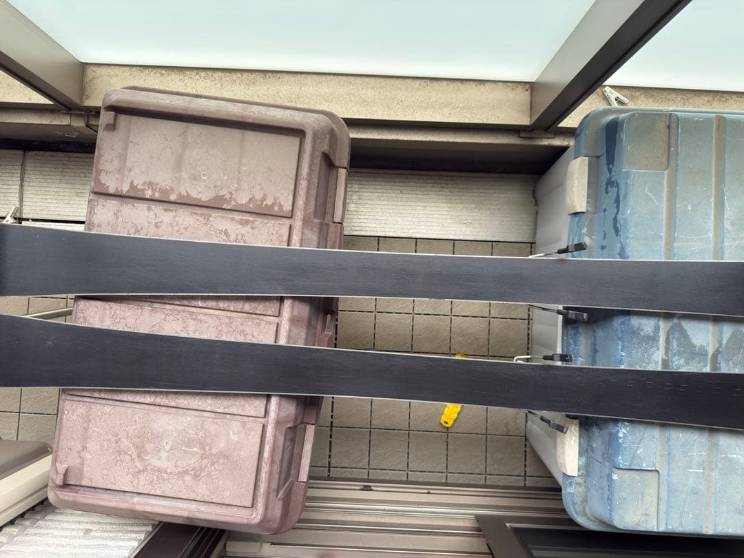 スキー板　Nordica Elexa 152cm レディース