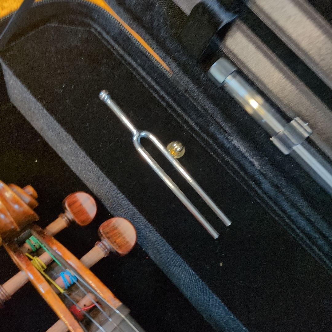 あ*ゆ様 ビオラ本体　ケース付き