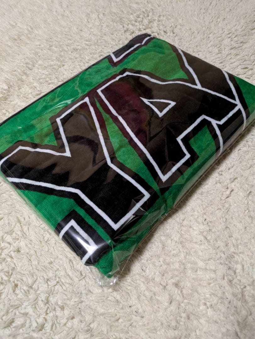 矢沢永吉SBTスペシャルビーチタオル　E.YAZAWA ロゴタオル 緑