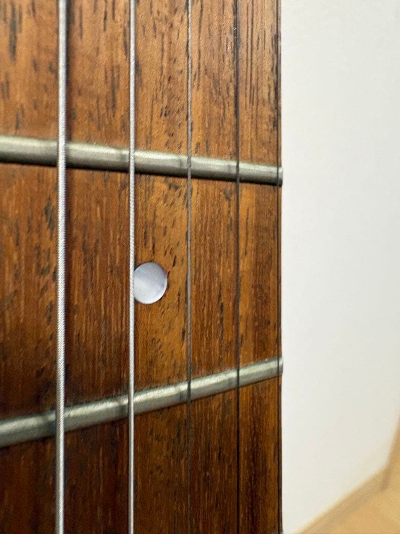 フェルナンデス　サスティナー搭載モデル