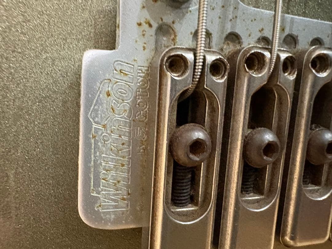 フェルナンデス　サスティナー搭載モデル