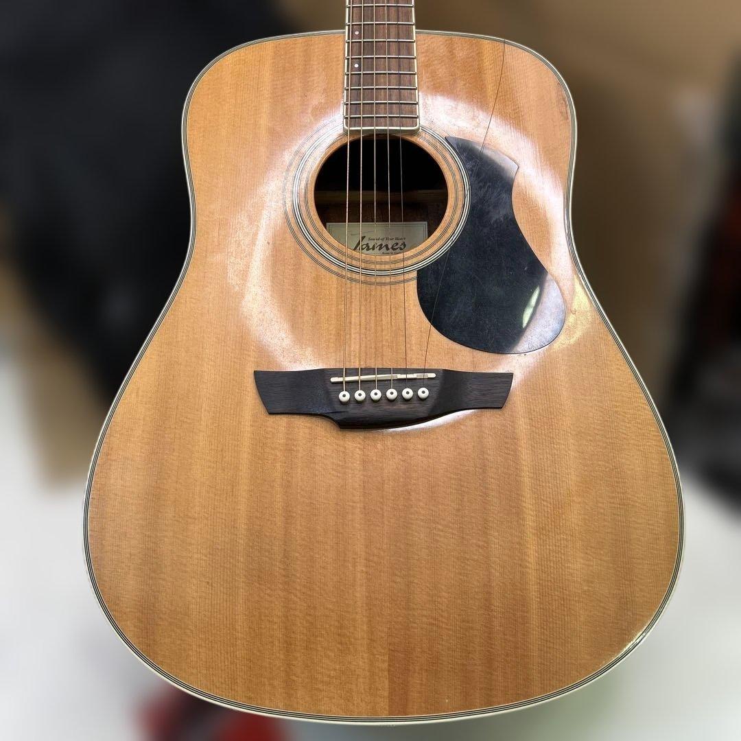 6911 アコースティックギター James ジェームス J-300D NAT