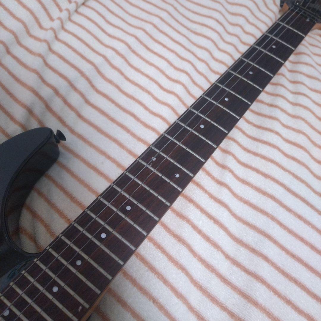 FERNANDES FR-55ソフトケース付