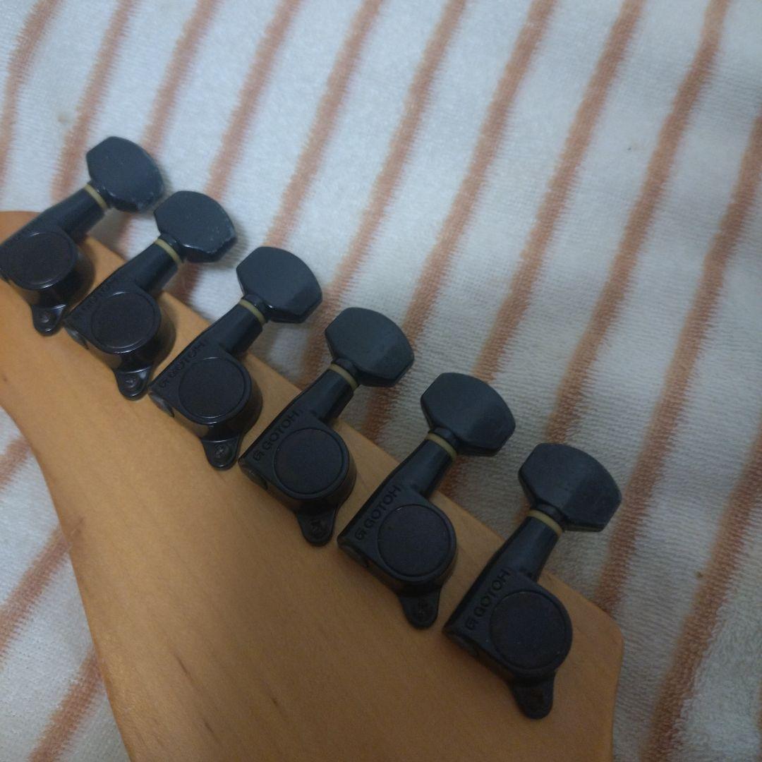 FERNANDES FR-55ソフトケース付