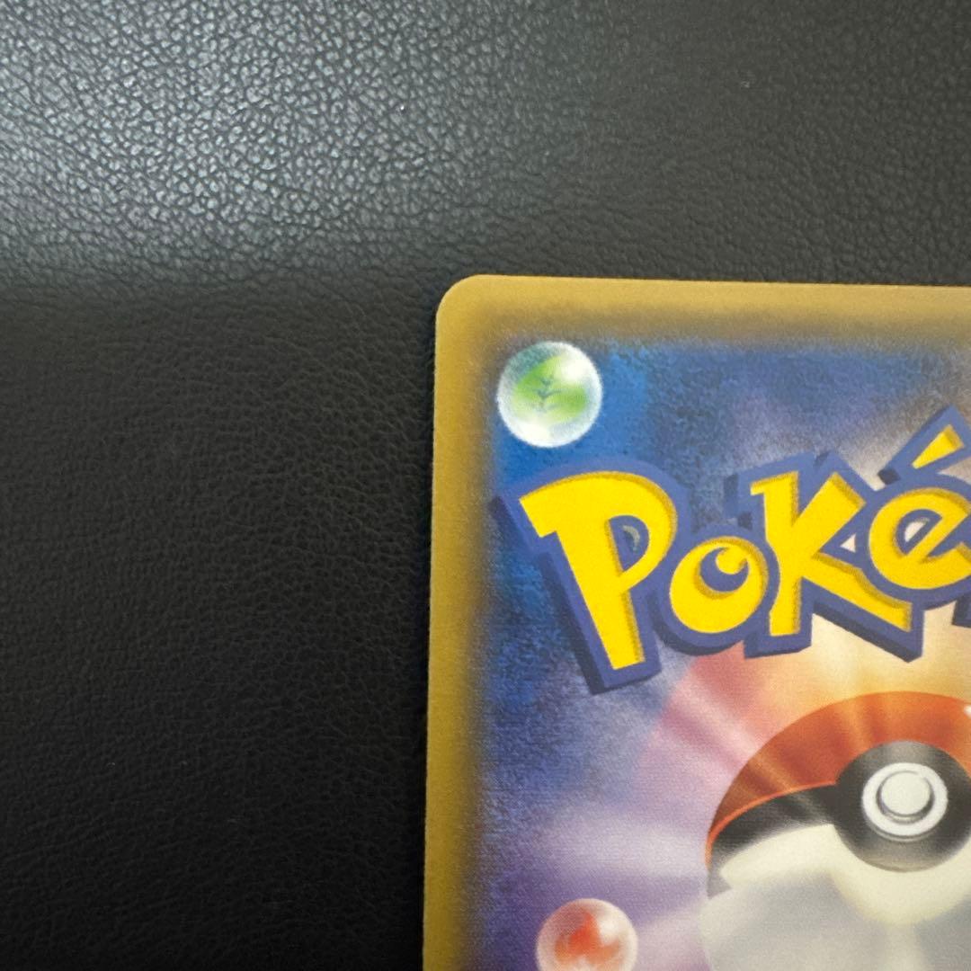 ポンチョを着たピカチュウ ロコン 早い者勝ち♡‼️