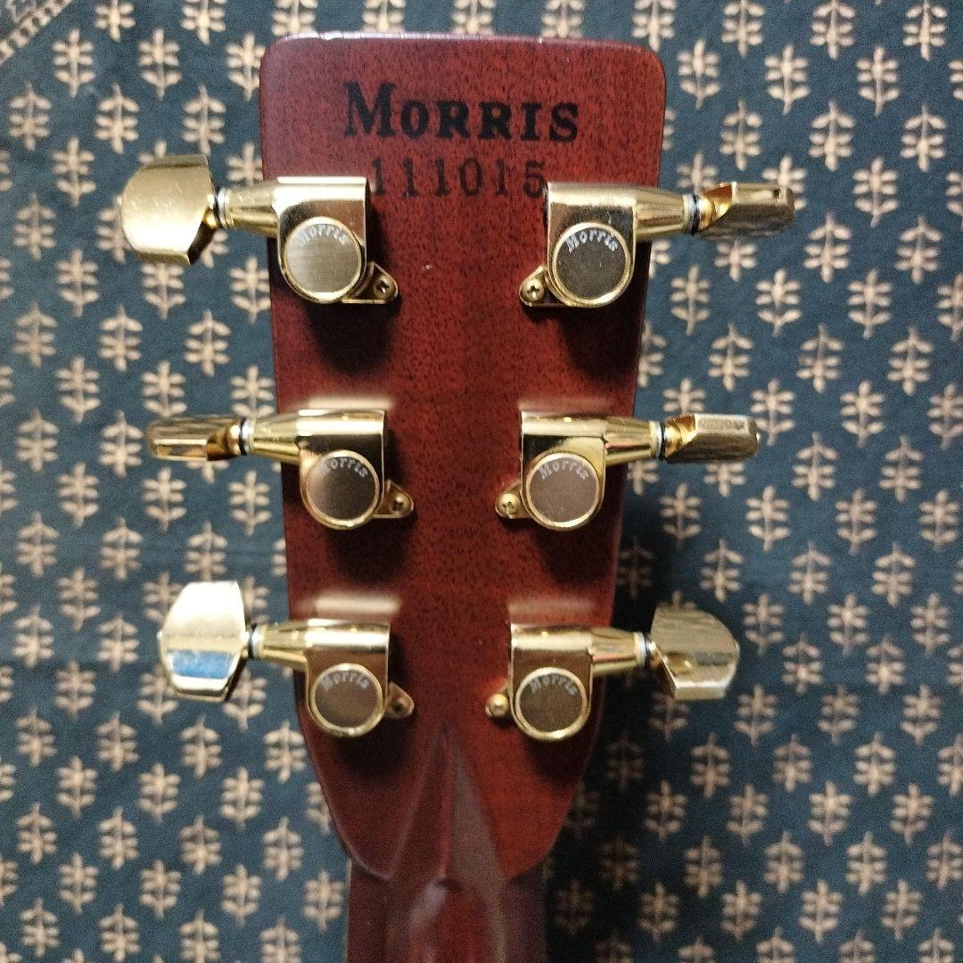 Morris ギターW100
