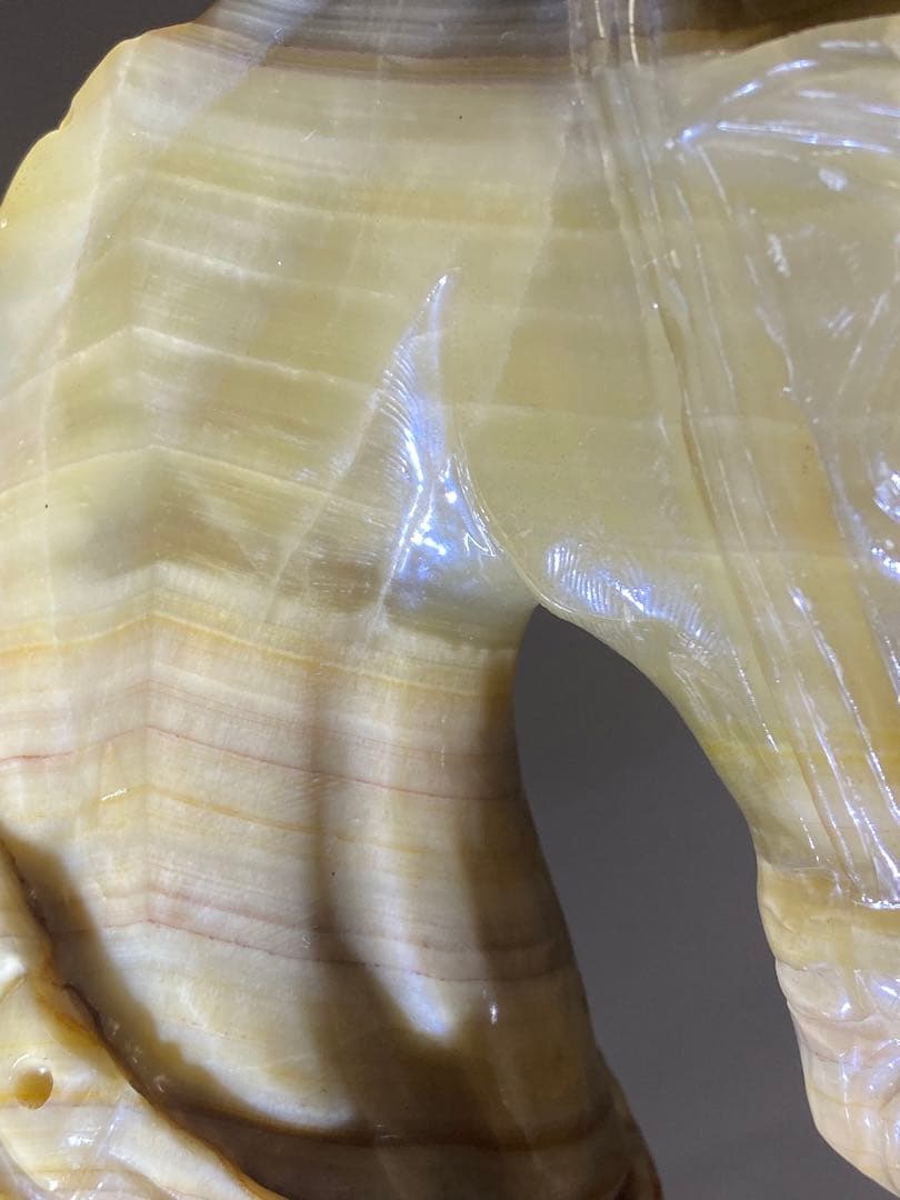 2178❣️ 瑪瑙　馬　唐馬　戦闘馬