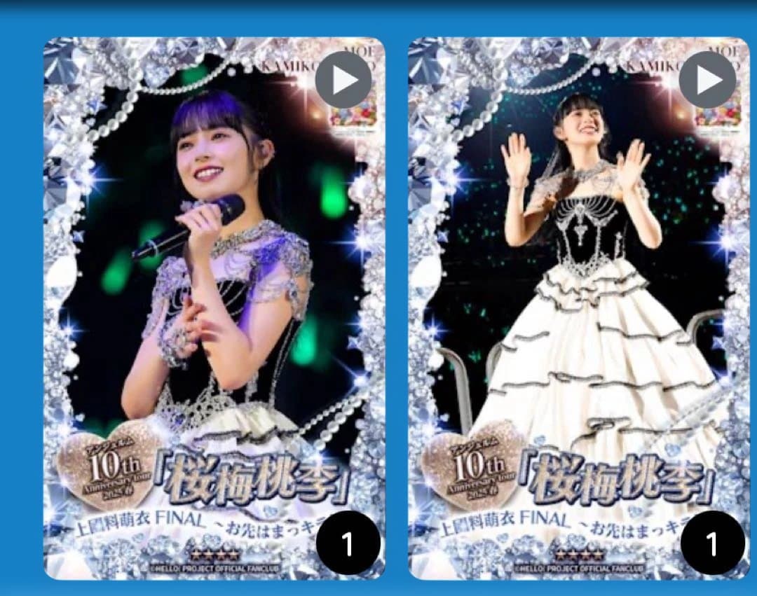 上國料　桜梅桃李⭐︎4 （2種類1枚づつ）