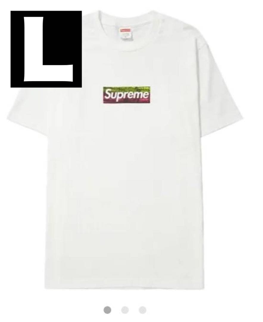 ミュージシャン Supreme Los Angeles Fire Relief Box L