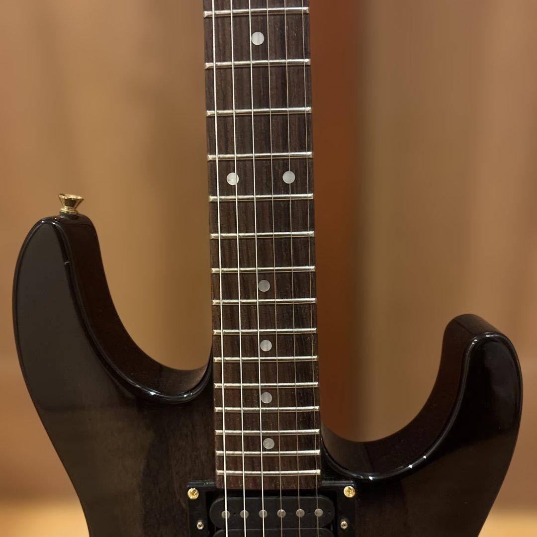 【中村さん専用】Bill Lawrence by Morris GOTOHペグ