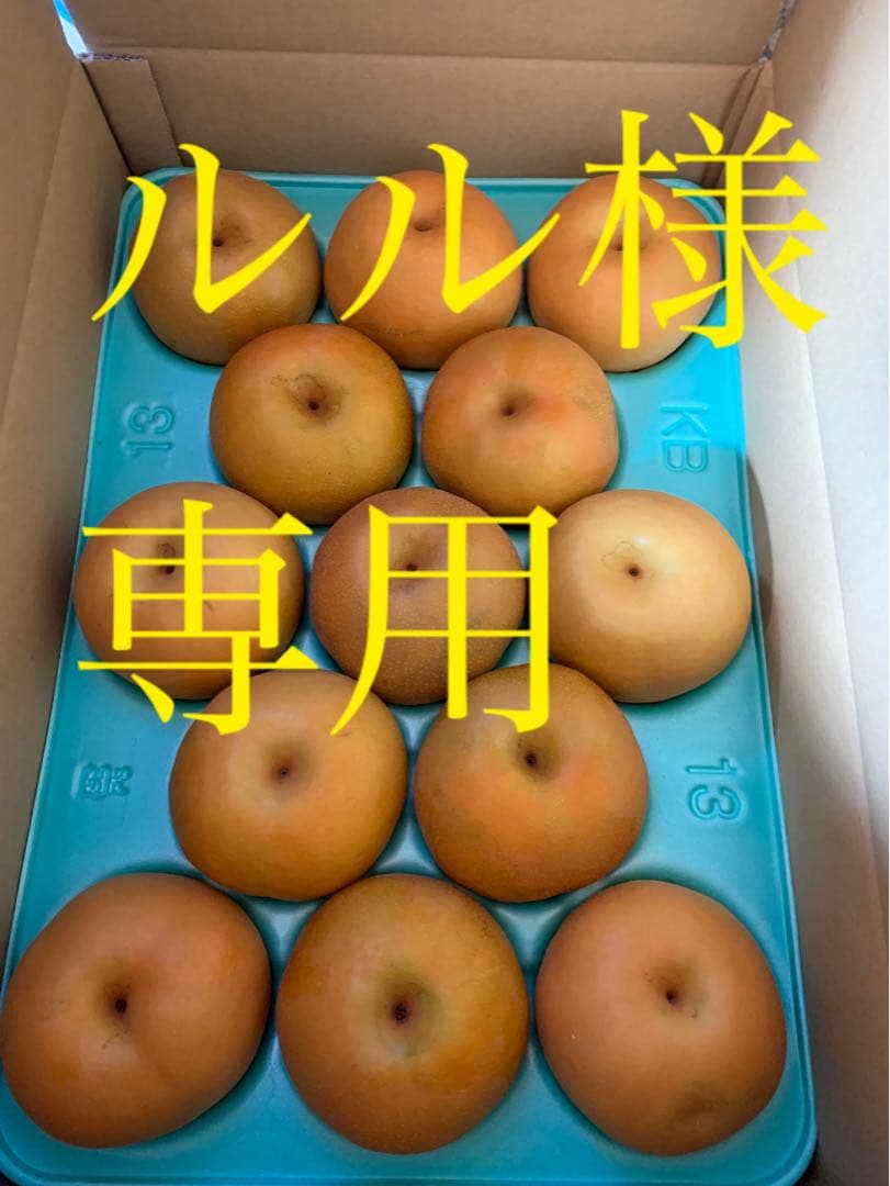 ルル　　　南水　梨　10キロ　家庭用