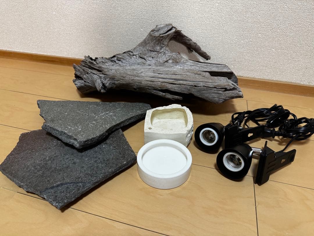 ケージ 爬虫類 トカゲ飼育セット 60 yoshimi