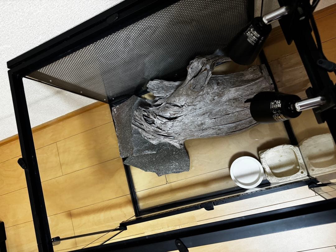 ケージ 爬虫類 トカゲ飼育セット 60 yoshimi